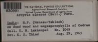 Image Associated With the Occurence